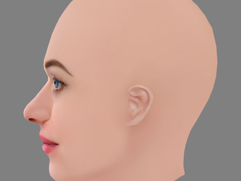 Dakota Johnson Head - No Hair - Low poly head for game 3D Model