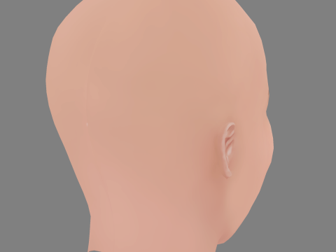 Dakota Johnson Head - No Hair - Low poly head for game 3D Model