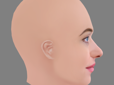 Dakota Johnson Head - No Hair - Low poly head for game 3D Model