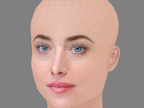 Dakota Johnson Head - No Hair - Low poly head for game 3D Model