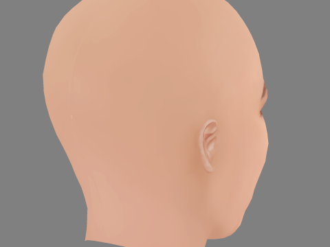 Ella Hunt Head - No Hair - Low poly head for game 3D Model