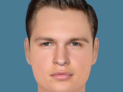 Ansel Elgort Head - Low poly head for game 3D Model