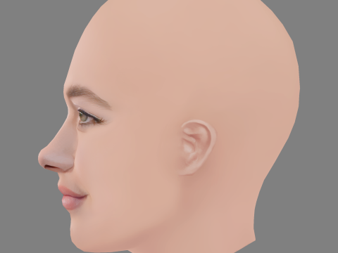 Florence Pugh Head - No Hair - Low poly head for game Modelo 3D