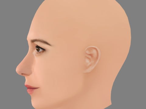 Katherine Waterston Head - No Hair - Low poly head for game 3Dモデル