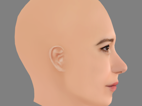 Katherine Waterston Head - No Hair - Low poly head for game 3Dモデル