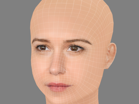 Katherine Waterston Head - No Hair - Low poly head for game 3Dモデル