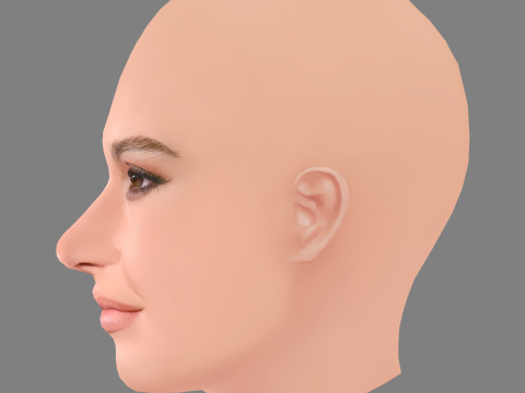 Lily James Head - No Hair - Low poly head for game 3D Modell