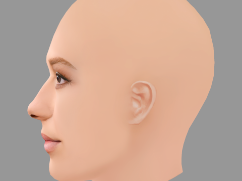 Millie Bobby Brown Head - No Hair - Low poly head for game 3Dモデル