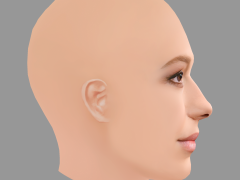 Millie Bobby Brown Head - No Hair - Low poly head for game 3Dモデル