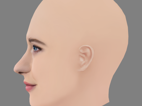 Rachel Brosnahan Head - No Hair - Low poly head for game Model 3D