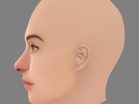Shailene Woodley Head - No Hair - Low poly head for game 3Dモデル