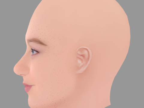 Stefania LaVie Owen Head - No Hair - Low poly head for game Modelo 3D