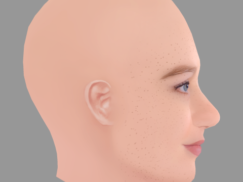Stefania LaVie Owen Head - No Hair - Low poly head for game Modelo 3D