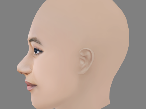 Sydney Park Head - No Hair - Low poly head for game 3D 模型