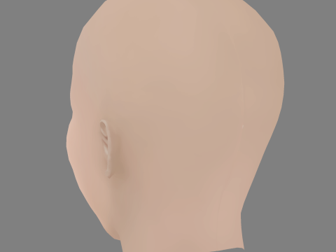 Sydney Park Head - No Hair - Low poly head for game 3D 模型