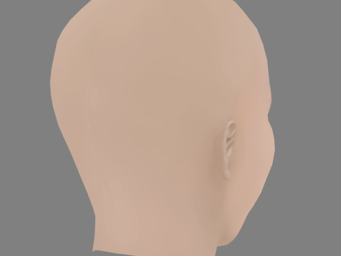 Sydney Park Head - No Hair - Low poly head for game 3D 模型