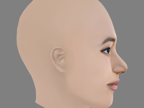 Sydney Park Head - No Hair - Low poly head for game 3D 模型