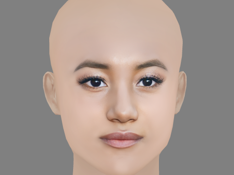 Sydney Park Head - No Hair - Low poly head for game 3D 模型