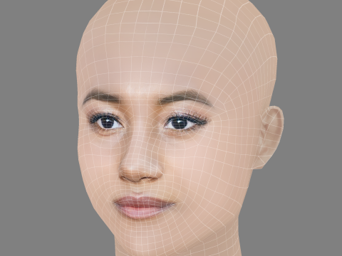 Sydney Park Head - No Hair - Low poly head for game 3D 模型
