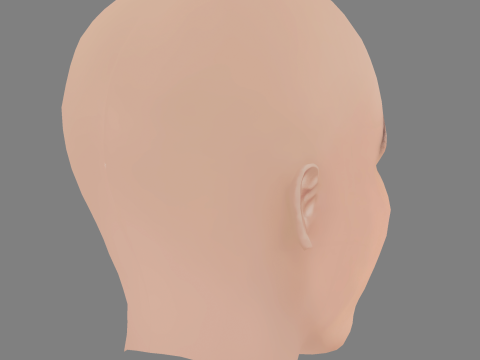 Sydney Sweeney Head - 无头发 - 低聚游戏头 3D 模型