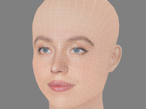 Sydney Sweeney Head - 无头发 - 低聚游戏头 3D 模型