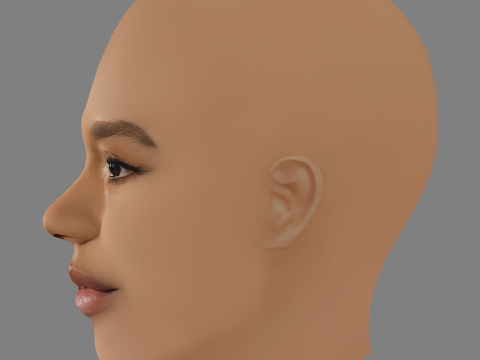 Taylor Russell Head - No Hair - Low poly head for game Modelo 3D