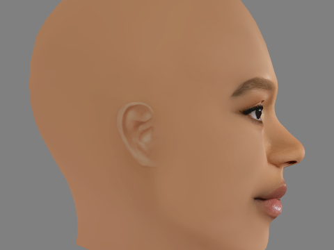 Taylor Russell Head - No Hair - Low poly head for game Modelo 3D