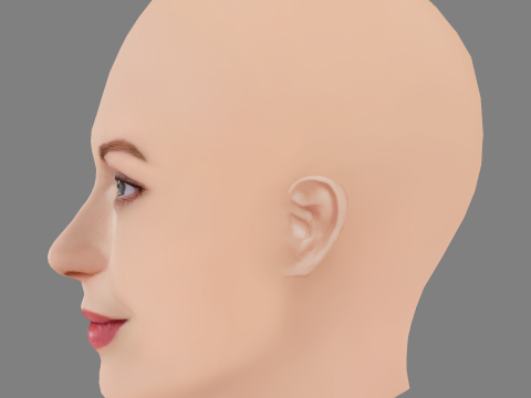 Connie Nielsen Head - No Hair - Low poly head for game 3D Модель