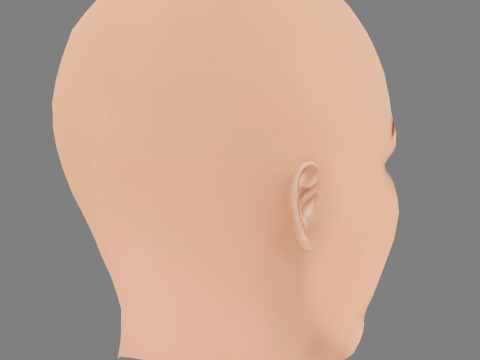 Connie Nielsen Head - No Hair - Low poly head for game 3D Модель