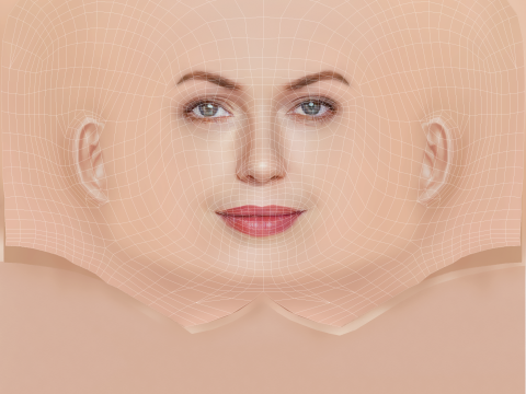 Connie Nielsen Head - No Hair - Low poly head for game 3D Модель
