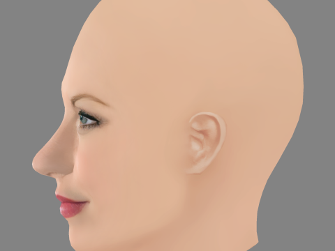 Ellen Hollman Head - No Hair - Low poly head for game 3D 模型