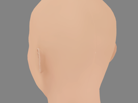 Ellen Hollman Head - No Hair - Low poly head for game 3D 模型