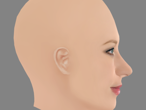 Ellen Hollman Head - No Hair - Low poly head for game 3D 模型