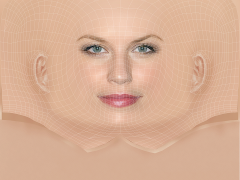 Ellen Hollman Head - No Hair - Low poly head for game 3D 模型