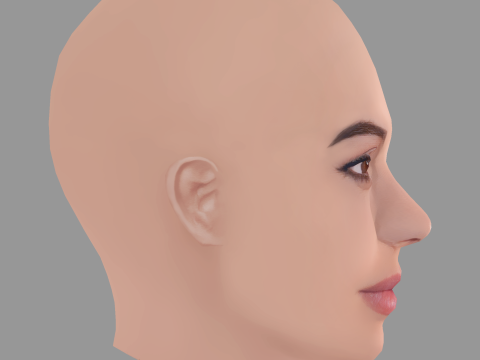 Adelaidee Kane Head - No Hair - Low poly head for game 3Dモデル