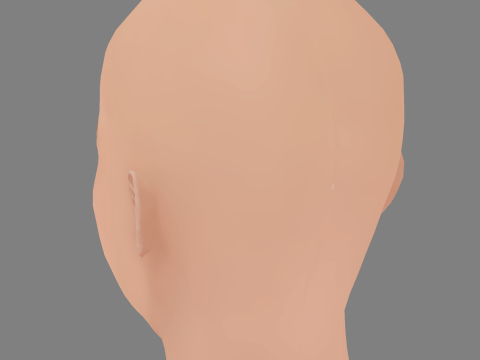 Shu Qi Head - No Hair - Low poly head for game 3D Model