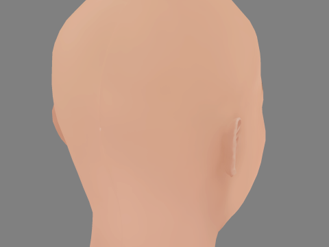 Shu Qi Head - No Hair - Low poly head for game 3D Model
