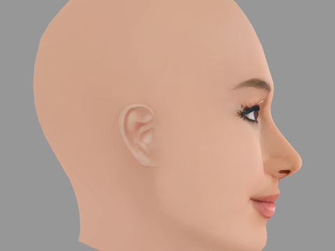 Ariana Grande Head - No Hair - Low poly head for game 3Dモデル