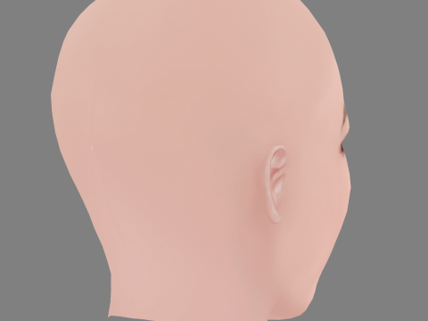 Zhao Wei Head - No Hair - Low poly head for game 3Dモデル