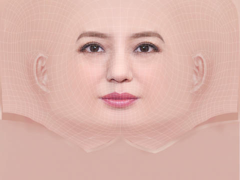 Zhao Wei Head - No Hair - Low poly head for game 3Dモデル