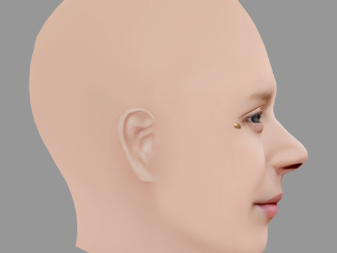 Aurora Aksnes Head - No Hair - Low poly head for game 3D Model