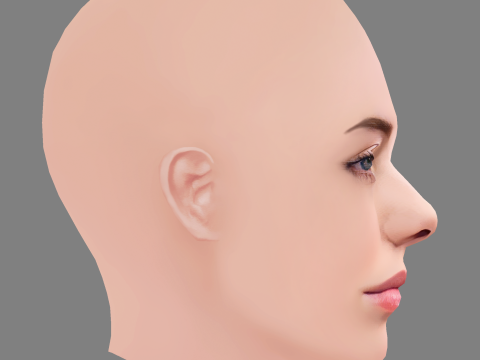 Billie Eilish Head - No Hair - Low poly head for game 3Dモデル