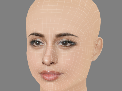 Camila Cabello Head - No Hair - Low poly head for game 3Dモデル