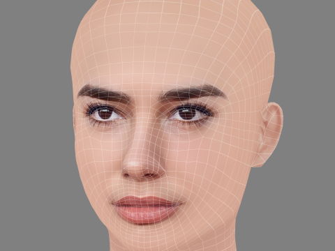 Dua Lipa Head - No Hair - Low poly head for game 3D Модель