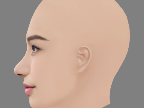 Beautiful Girl Head 04 - No Hair - Low poly head for game 3D 모델