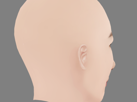 Beautiful Girl Head 07 - No Hair - Low poly head for game 3D Модель