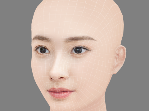 Beautiful Girl Head 07 - No Hair - Low poly head for game 3D Модель