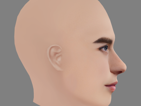 Handsome Boy Head 01 - No Hair - Low poly head for game Modello 3D