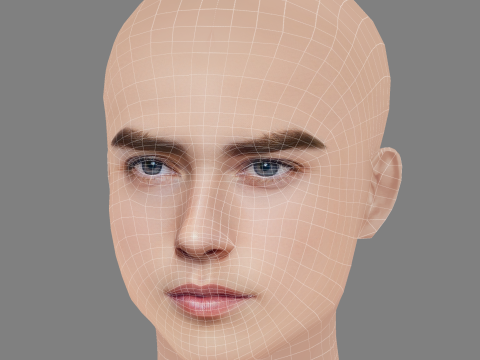 Handsome Boy Head 01 - No Hair - Low poly head for game Modello 3D