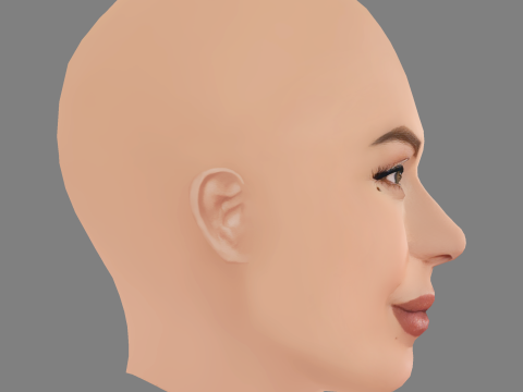 Lady Gaga Head - No Hair - Low poly head for game 3D Model